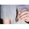 Berkley PowerBait Pit Boss Fishing Soft Bait(Green Pumpkin Green)