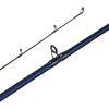 Fenwick Eagle Casting Fishing Rod(New Model)