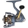 Pflueger President Spinning Fishing Reel(New Model)