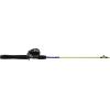 Shakespeare Catch More Fish Spincast Reel and Fishing Rod Combo with Kit(Lake/Pond – Yellow)