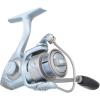 Pflueger President LE Spinning Fishing Reel(25)