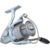 Pflueger President LE Spinning Fishing Reel(35)