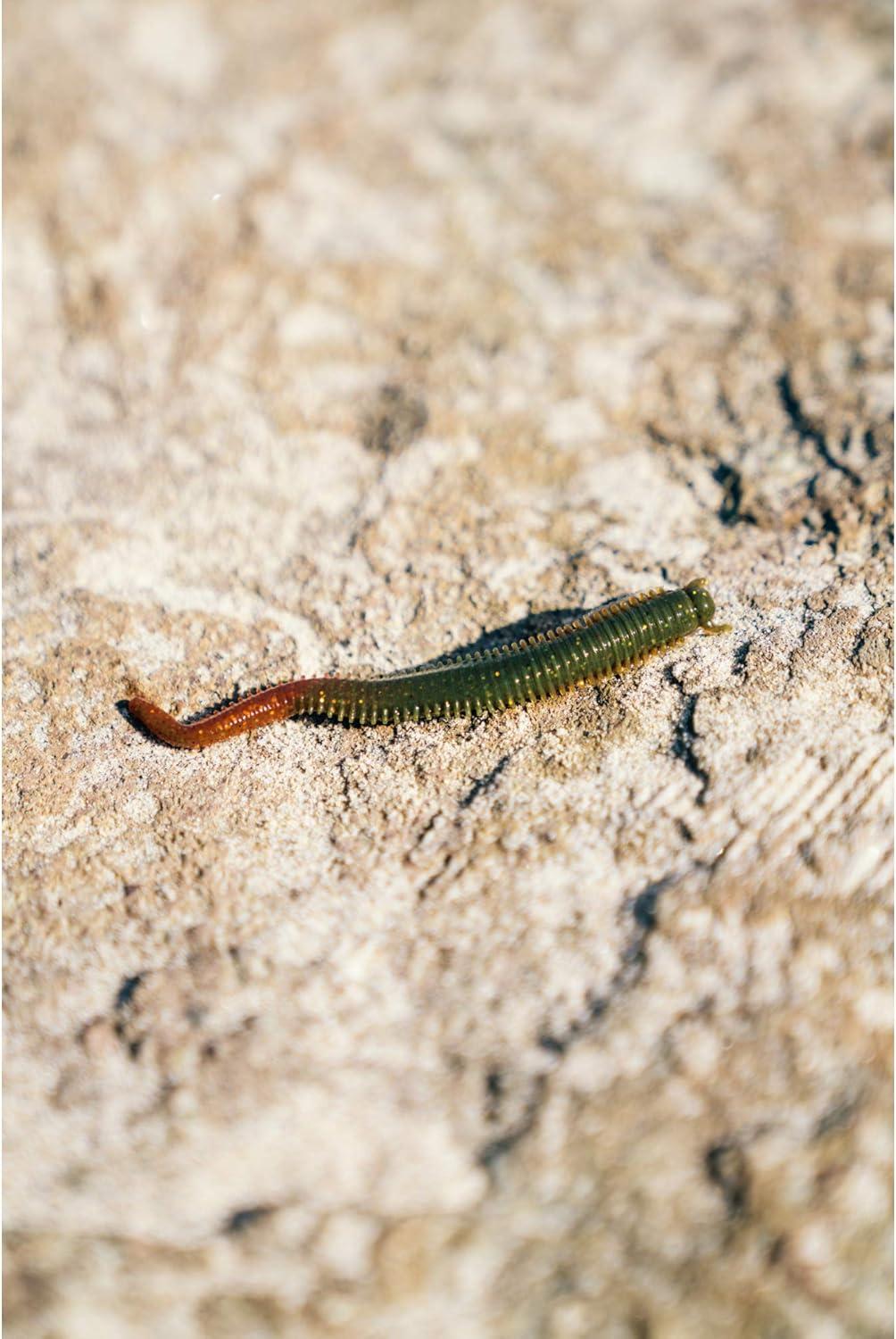 image:imageBerkley Gulp Saltwater Sandworm New PennyBloody