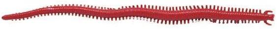 image:imageBerkley Gulp Saltwater Sandworm New PennyBloody