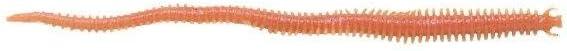 image:imageBerkley Gulp Saltwater Sandworm New PennyBloody