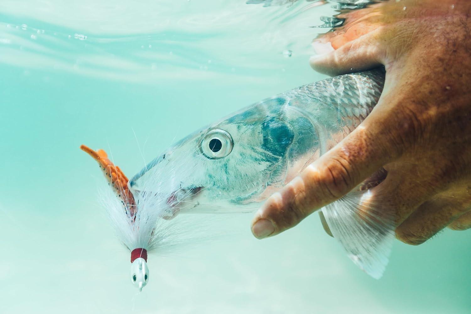image:imageBerkley Gulp Shrimp Saltwater Fishing Soft BaitNatural Shrimp