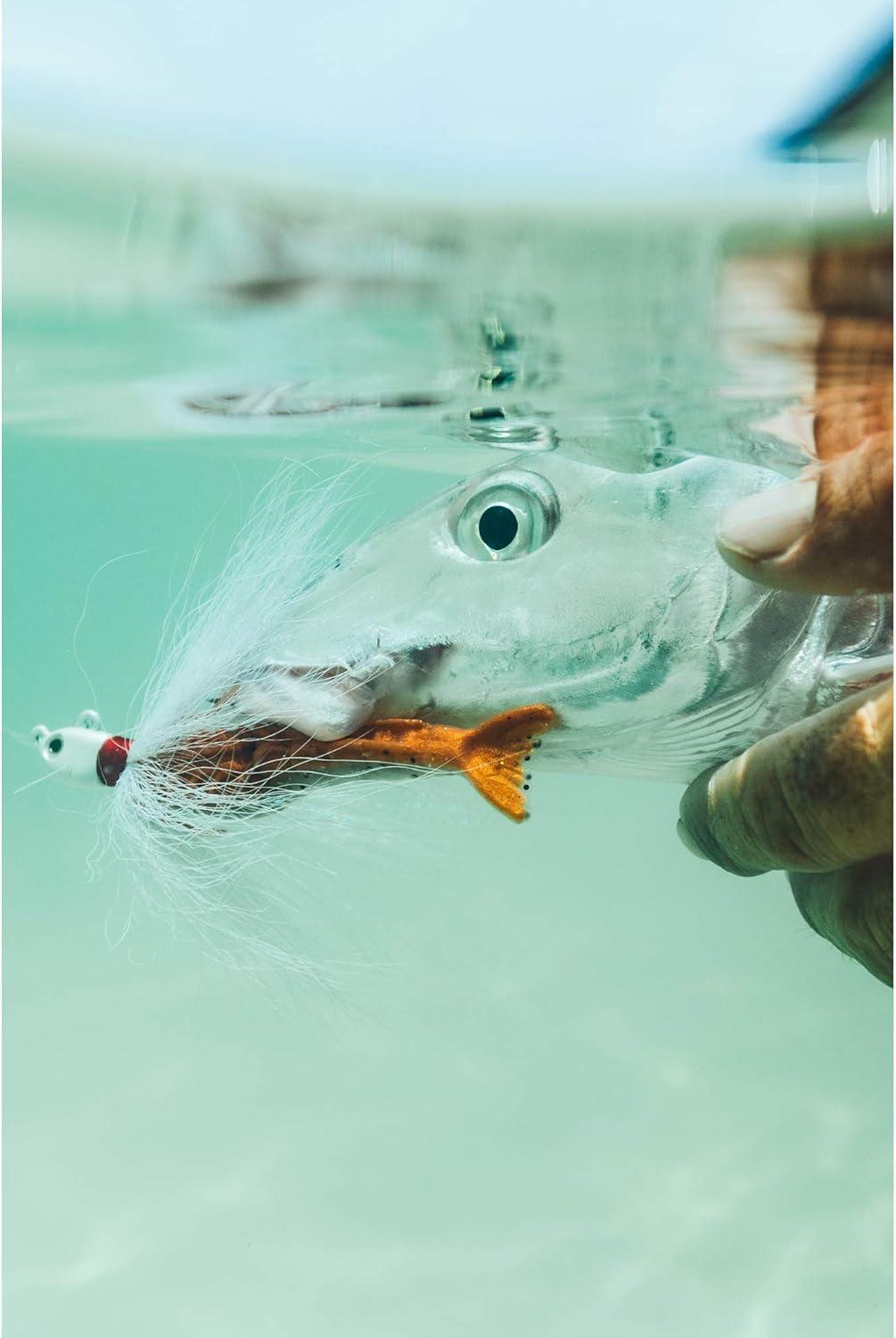 image:imageBerkley Gulp Shrimp Saltwater Fishing Soft BaitNew PennyChartreuse