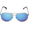 Berkley Fishing Sunglasses(Silver/Smoke/Blue Mirror)
