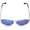 Berkley Fishing Sunglasses(Silver/Smoke/Blue Mirror)