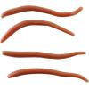 Berkley Gulp! Alive! Angle Worm, Natural, Jar, 1 inch