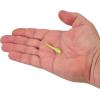 Berkley Gulp! Alive! Minnow Fishing Soft Bait(Chartreuse Shad)
