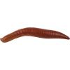 Berkley Gulp! Floating Pinched Crawler Fishing Soft Bait(Nightcrawler – Garlic Scent)