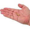 Berkley Gulp! Minnow Fishing Soft Bait(Gold Leaf)