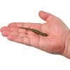Berkley Gulp! SR Crawler Fishing Soft Bait(Green Pumpkin)