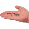 Berkley Gulp! SR Crawler Fishing Soft Bait(Watermelon Pearl)