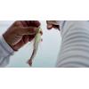 Berkley Gulp! Shrimp Saltwater Fishing Soft Bait(Natural Shrimp)