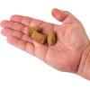 Berkley PowerBait Catfish Bait Chunks Fishing Dough Bait(Blood and Cheese)