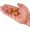 Berkley PowerBait Catfish Bait Chunks Fishing Dough Bait(Chicken Liver)