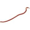 Earthworm Gulp! by Berkley(Red Wiggler)