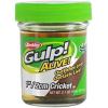 Gulp Alive Cricket Fishing Bait(Multi)