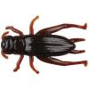 Cricket Brown
