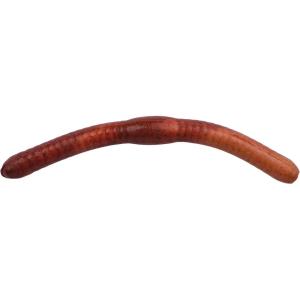 Berkley Gulp! Alive! Fat Floating Trout Worm Fishing Soft Bait(Nightcrawler)