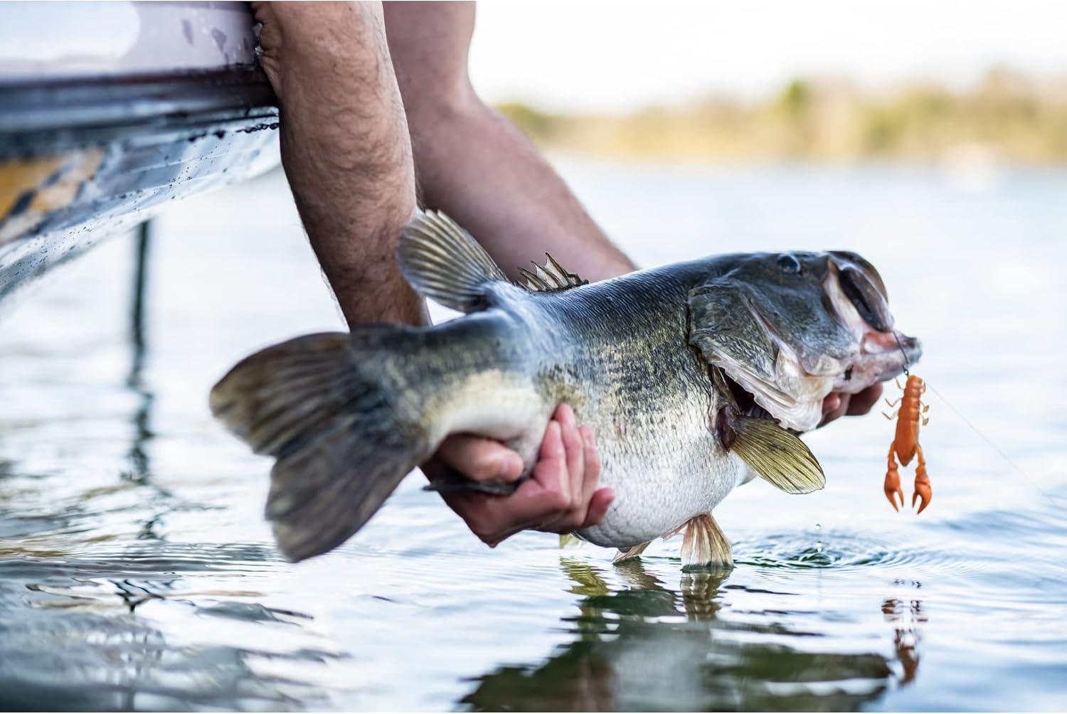 image:imageBerkley Bass Fishing Bait KitBass New