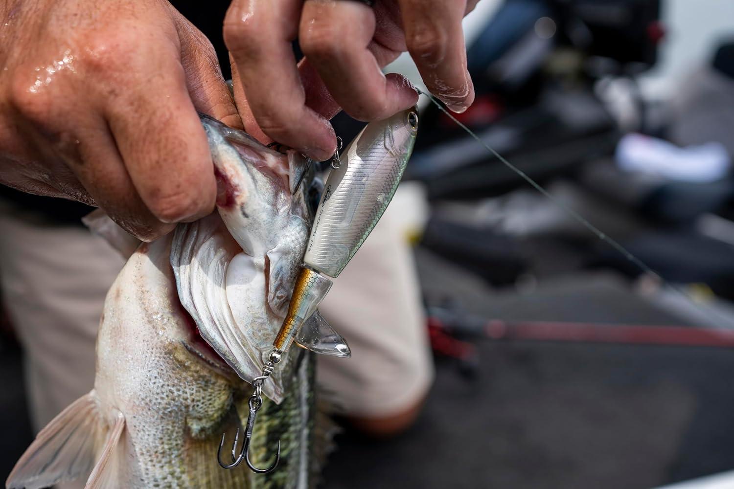 image:imageBerkley Choppo Fishing Hard BaitMF Frog