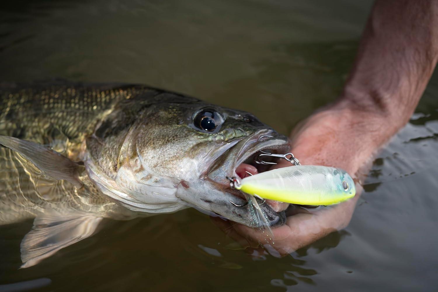 image:imageBerkley Choppo Topwater Fishing Lure Bone Size 90 Cupped Propeller Tail for Balance of Sound and Spray Equipped with Sharp Fusion19TM Hook