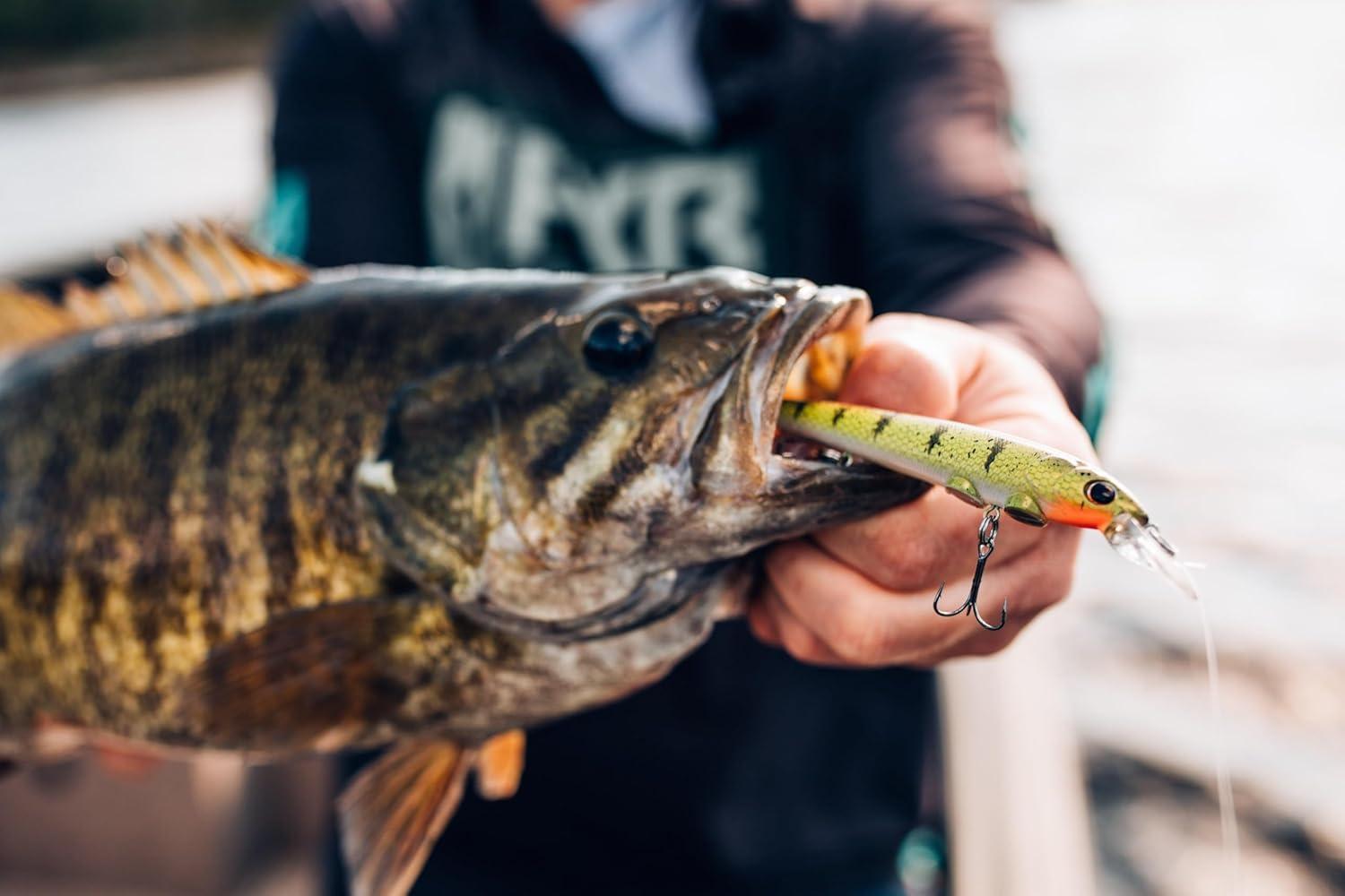 image:imageBerkley Hit Stick Fishing Hard BaitRainbow Trout