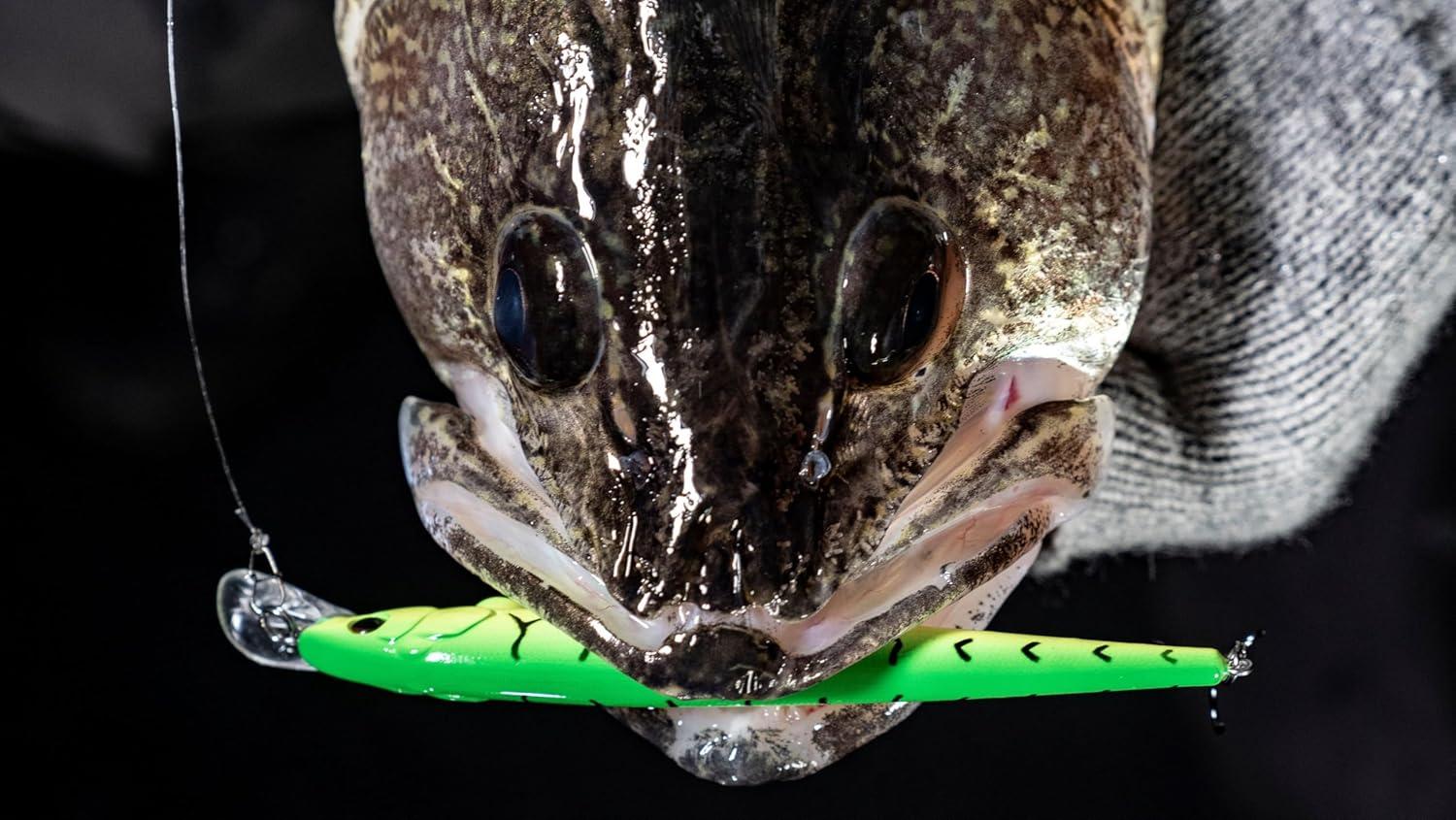 image:imageBerkley Hit Stick Fishing Hard BaitRainbow Trout