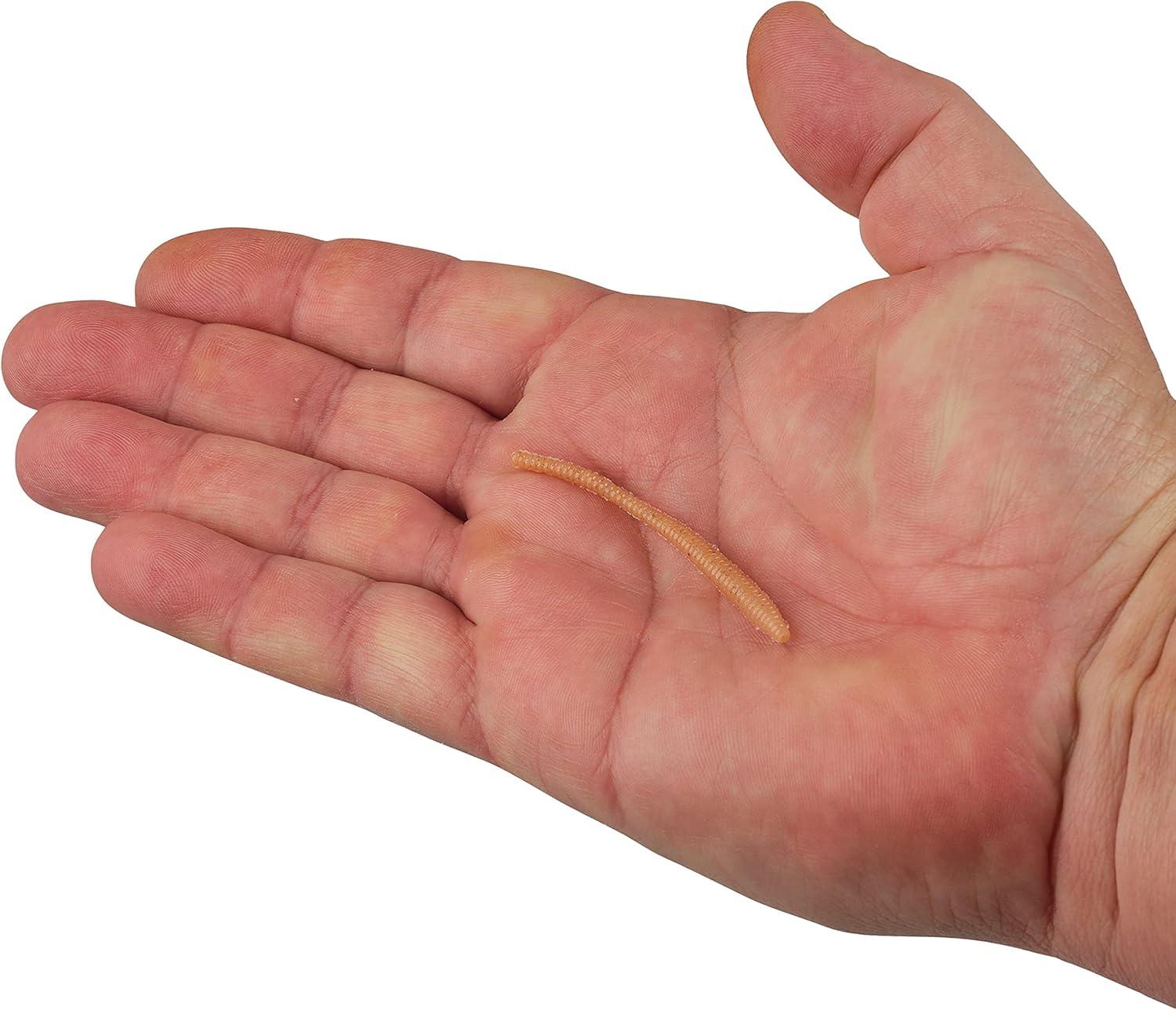 image:imageBerkley PowerBait Power Floating Trout Worm Fishing Soft BaitNatural Garlic Scent