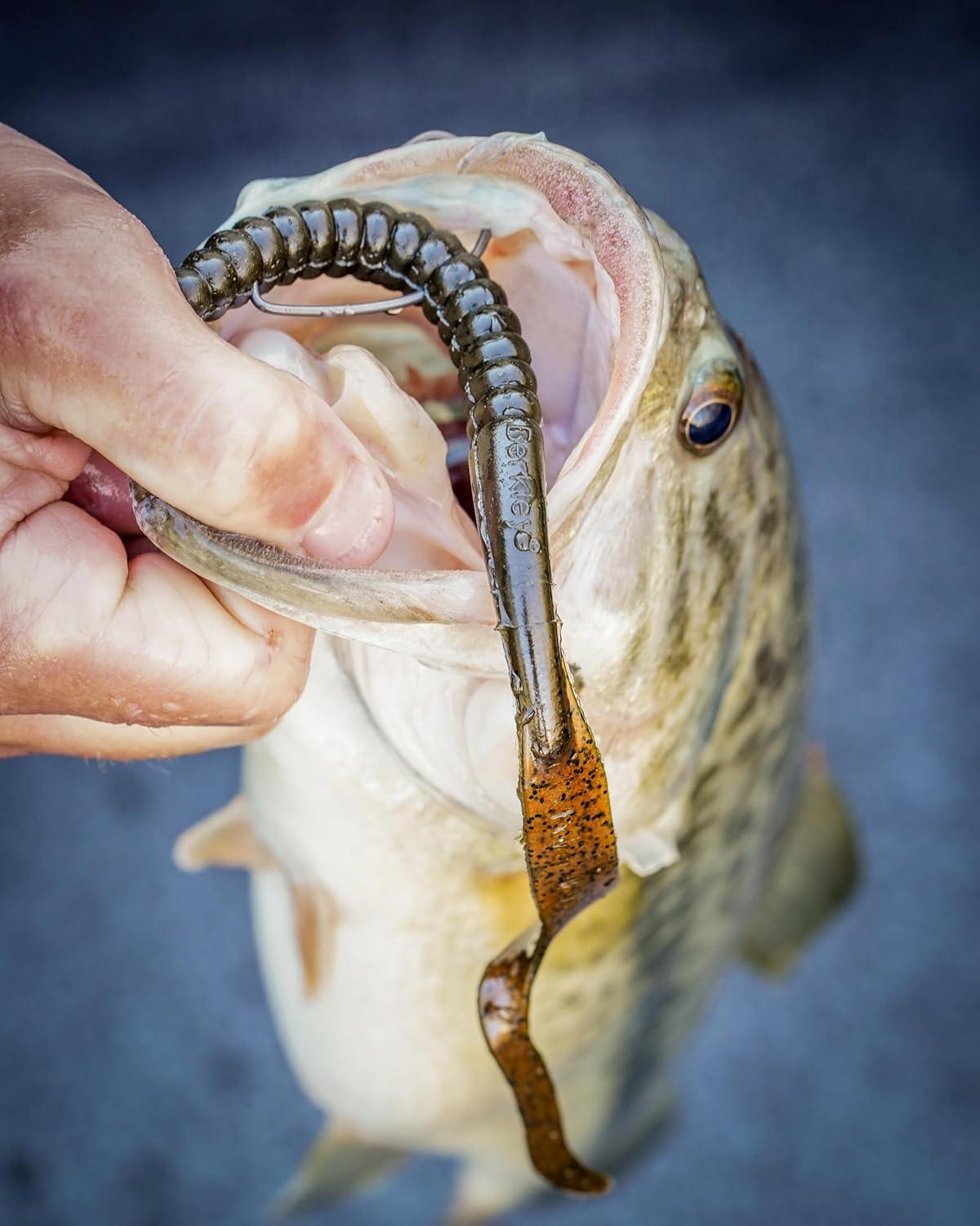 image:imageBerkley PowerBait Power Worms Fishing Soft BaitMidnight Fire
