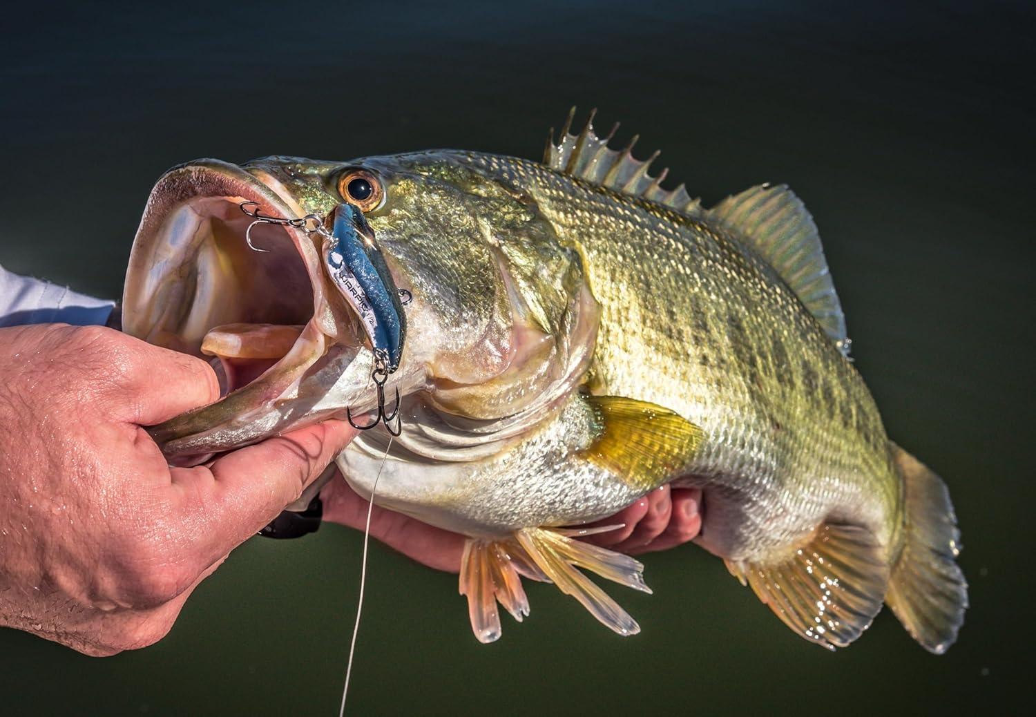 image:imageBerkley Warpig Fishing Hard BaitFiretiger