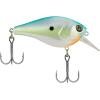 Berkley Bass Fishing Bait Kit(Bass (New))
