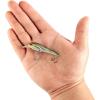 Berkley Hit Stick Fishing Hard Bait(Nebu)