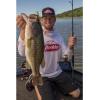 Berkley PowerBait MaxScent D-Worm(Green Pumpkin Purple Fleck)