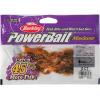 Berkley PowerBait MaxScent Lil’ Trooper Fishing Soft Bait(Watermelon Copper/Orange w/Red)