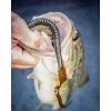 Berkley PowerBait Power Worms Fishing Soft Bait(Plum)