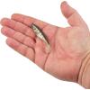Berkley PowerBait The Champ Swimmer Fishing Soft Bait(HD Bluegill)