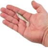 Berkley PowerBait The Champ Swimmer Fishing Soft Bait(HD Tennessee Shad)