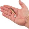 Berkley PowerBait The Champ Swimmer Fishing Soft Bait(HD Yellow Perch)