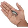 Berkley Warpig Fishing Hard Bait(Blue Bullet)