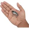 Berkley Warpig Fishing Hard Bait(Blue Bullet)