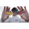 Berkley Warpig Fishing Hard Bait(Ghost Red Craw)