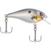 Berkley Berkley Squarebull(Sexier Shad)
