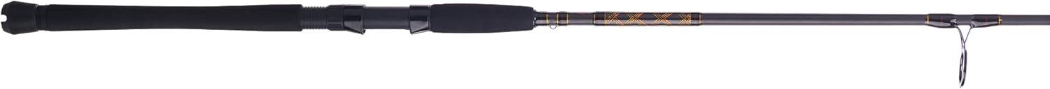 image:imagePENN Squadron III Inshore Spinning Fishing RodSquadron Iii