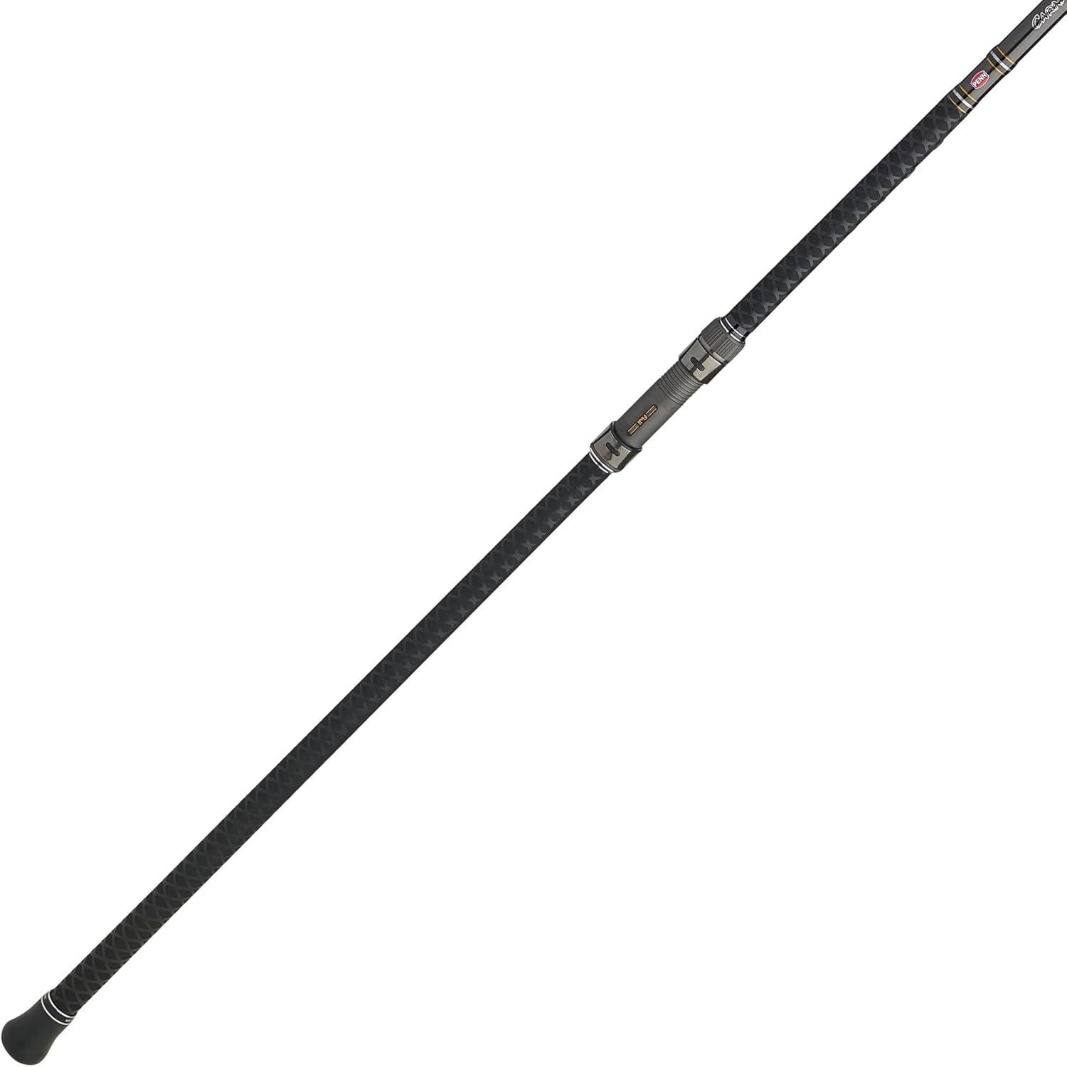 image:imagePenn Carnage II amp Carnage III Surf Conventional Fishing RodCarnage III New Model
