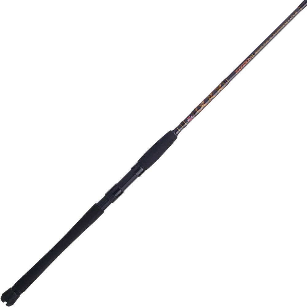 image:imagePENN Squadron III Inshore Spinning Fishing RodSquadron Iii
