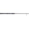 PENN Squadron III Inshore Spinning Fishing Rod(Squadron Iii)